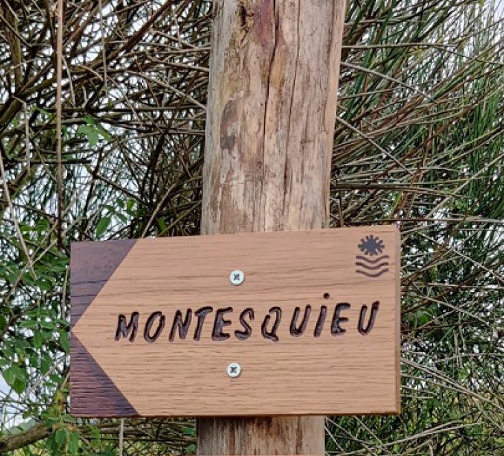 L'association ouvre et balise des chemins de randonnées à Montesquieu