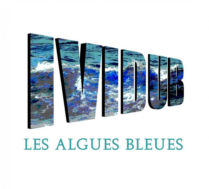 2022 juin/Single "Les algues bleues" en collaboration avec Karigan reggae drummer, textes et musique: Ividub  - Ividub Production