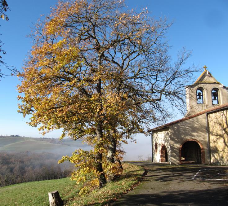 Prieuré Saint Pierre de Birac 